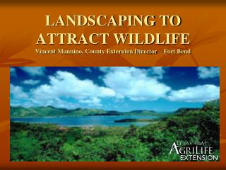 LANDSCAPING TO ATTRACT WILDLIFE Vincent Mannino, County Extension Director – Fort Bend