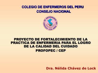 COLEGIO DE ENFERMEROS DEL PERU