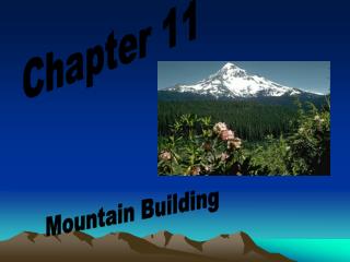 Chapter 11
