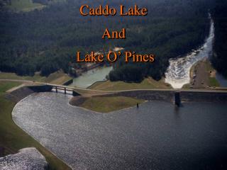 Caddo Lake And Lake O’ Pines