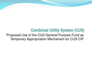 Combined Utility System (CUS)