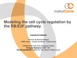 Modeling the cell cycle regulation by the RB/E2F pathway