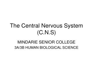 The Central Nervous System (C.N.S)