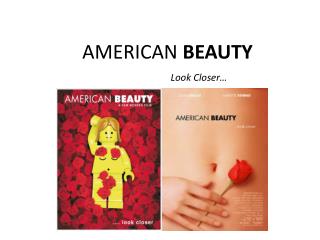 AMERICAN BEAUTY