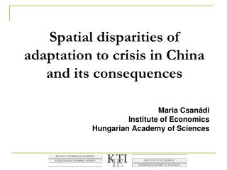 Spatial disparities of adaptation to crisis in China and its consequences