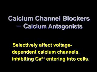 Calcium Channel Blockers － C alcium Antagonists