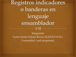 Registros indicadores o banderas en lenguaje ensamblador