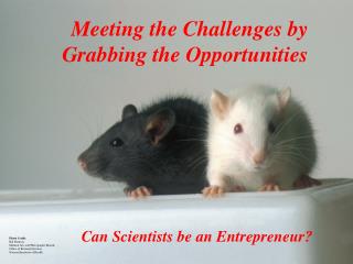 Meeting the Challenges by Grabbing the Opportunities