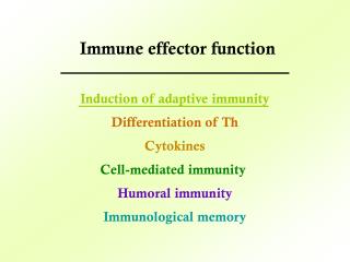 Induction of adaptive immunity Differentiation of Th Cytokines Cell-mediated immunity