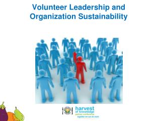 Volunteer Leadership and Organization Sustainability