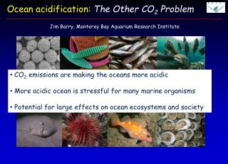 Ocean acidification: The Other CO 2 Problem