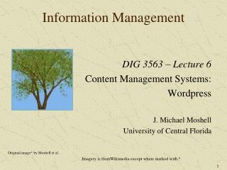 Information Management