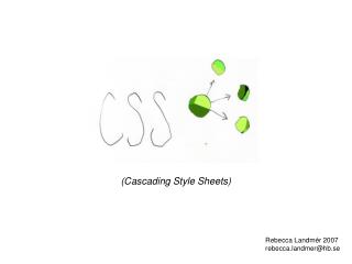 CSS