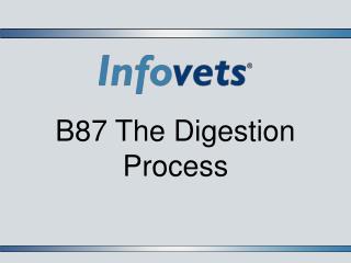 B87 The Digestion Process