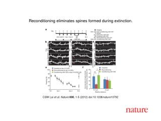 CSW Lai et al . Nature 000 , 1 - 5 (2012) doi:10.1038/nature10792