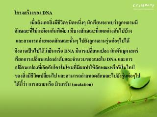 โครงสร้างของ DNA