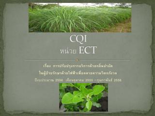 CQI หน่วย ECT