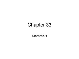 Chapter 33