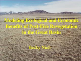 Modeling Ecological and Economic Benefits of Post-Fire Revegetation in the Great Basin