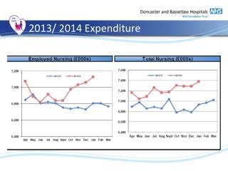 2013/ 2014 Expenditure