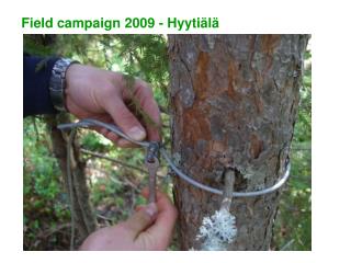 Field campaign 2009 - Hyytiälä