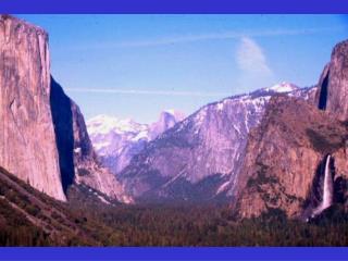 Vegetation Types in Yosemite Valley