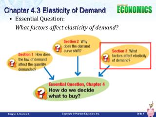 Essential Question: What factors affect elasticity of demand?