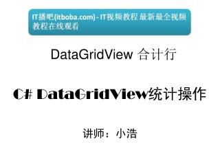 C# DataGridView 统计操作 讲师：小浩