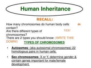 Human Inheritance