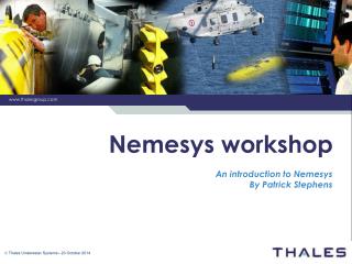Nemesys workshop