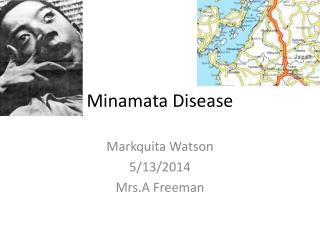 Minamata Disease