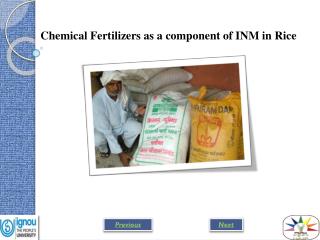 Chemical Fertilizers as a component of INM in Rice