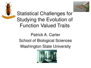 Statistical Challenges for Studying the Evolution of Function Valued Traits