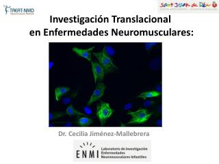 Investigación Translacional en Enfermedades Neuromusculares: