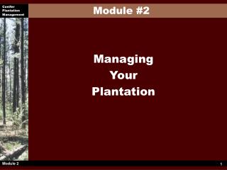 Managing Your Plantation