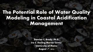 The Potential Role of Water Quality Modeling in Coastal Acidification Management