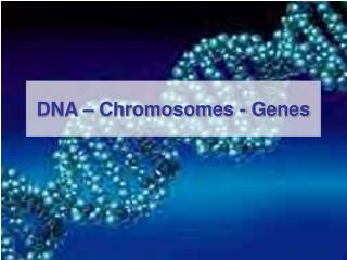 DNA – Chromosomes - Genes