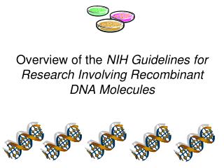 Overview of the NIH Guidelines for Research Involving Recombinant DNA Molecules