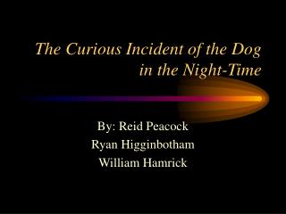 The Curious Incident of the Dog in the Night-Time