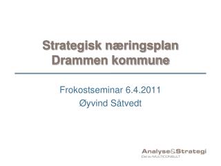 Strategisk næringsplan Drammen kommune