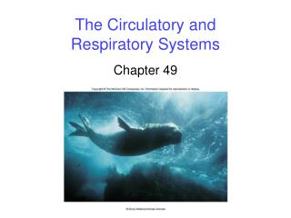 The Circulatory and Respiratory Systems