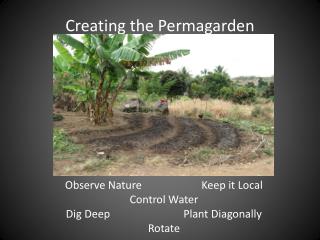 Creating the Permagarden