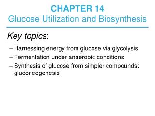 CHAPTER 14 Glucose Utilization and Biosynthesis