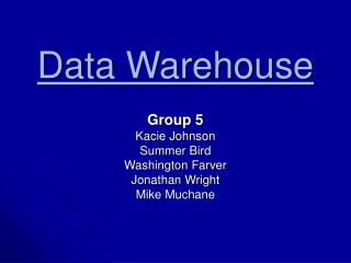 Data Warehouse