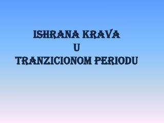 ISHRANA KRAVA U TRANZICIONOM PERIODU