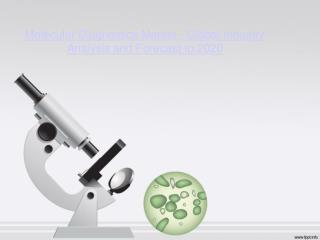 Molecular Diagnostics Market in-depth Analysis and Global Fo