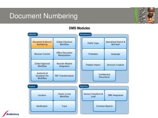 Document Numbering