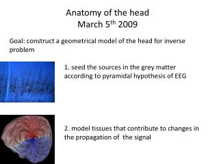 Anatomy of the head March 5 th 2009