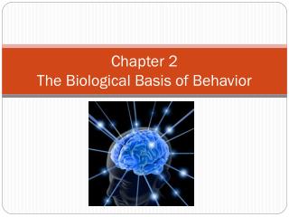 Chapter 2 The Biological Basis of Behavior
