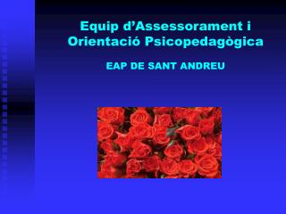 Equip d’Assessorament i Orientació Psicopedagògica EAP DE SANT ANDREU